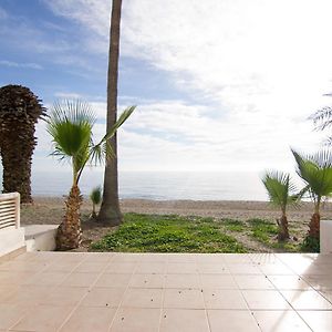 Apartamento Planta baja